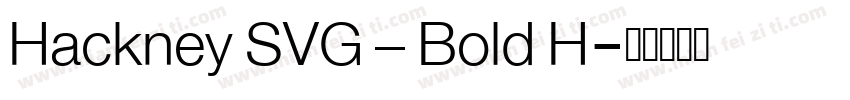 Hackney SVG – Bold H字体转换